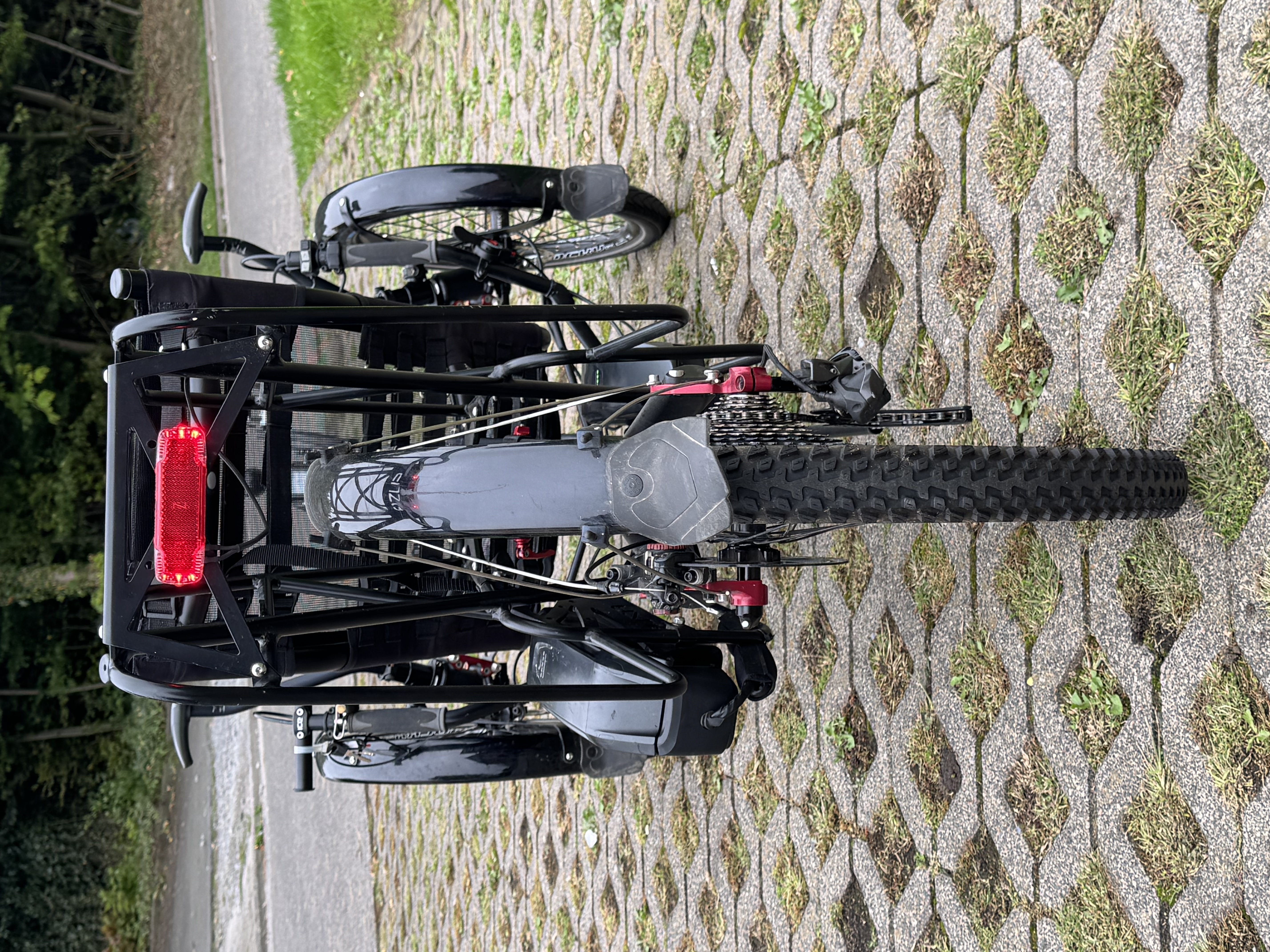 AZUB Ti-FLY 26: Heckansicht mit Rücklicht und Gepäckträger