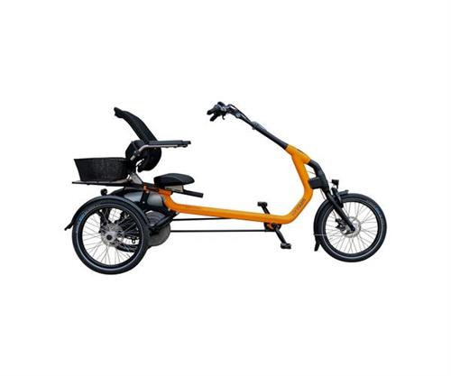 Armlehnen klappbar für normales Sitzen für Easy Rider 3 der Marke vanRaam