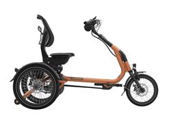 vanRaam Easy Rider Compact+ in Copper Brown matt; Ausstattung kann abweichen